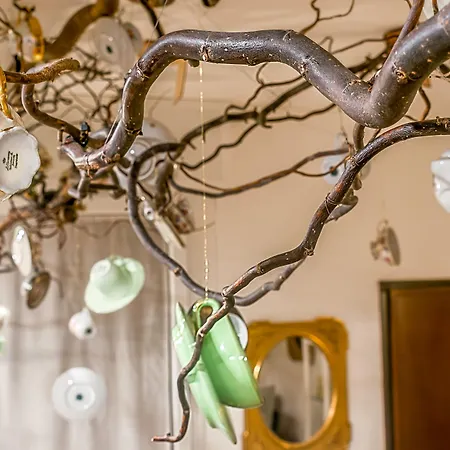 Bed & Breakfast 051 & Breakfast